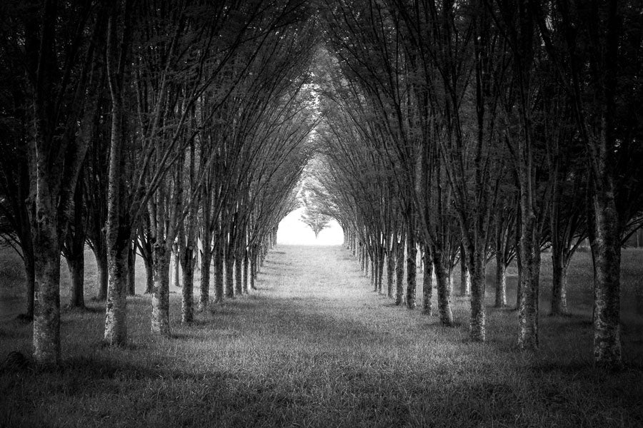 Symmetry