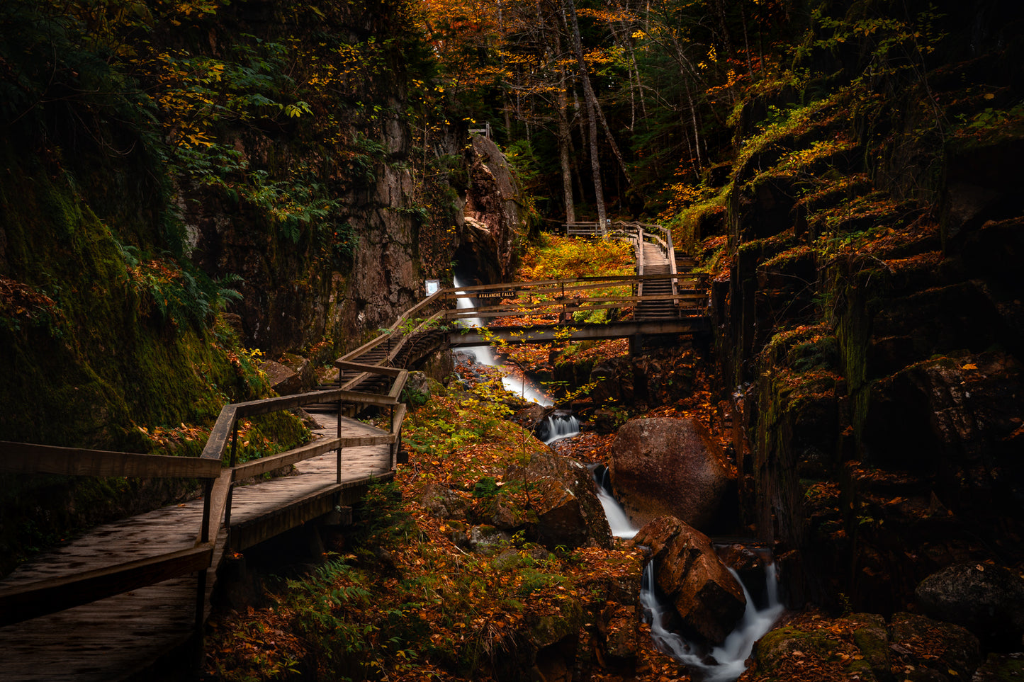 Flume Gorge During Fall Color