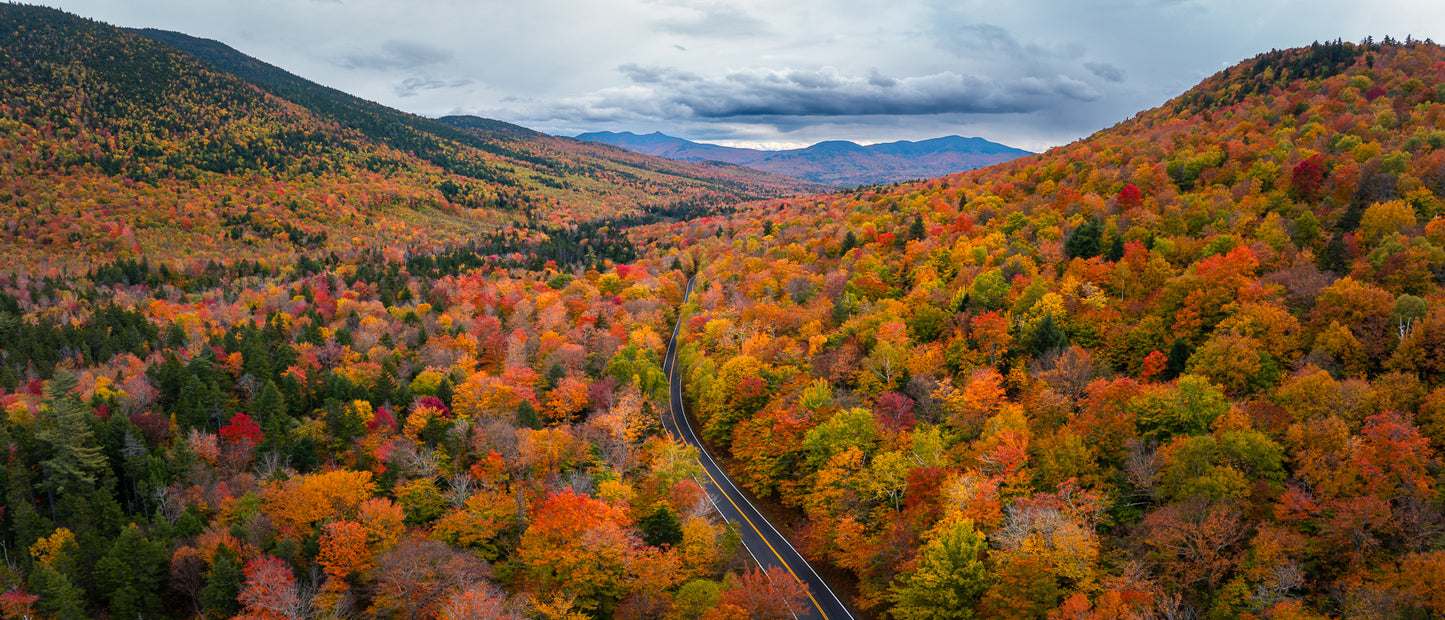White Mountains During Peak Fall Colors