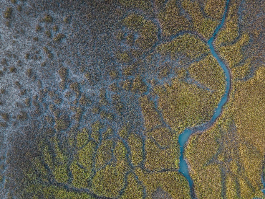 Creeks Through Marsh