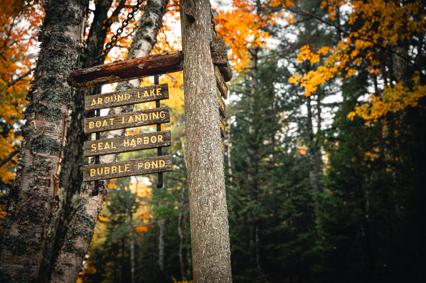 Sign on Acadia Carriage Road