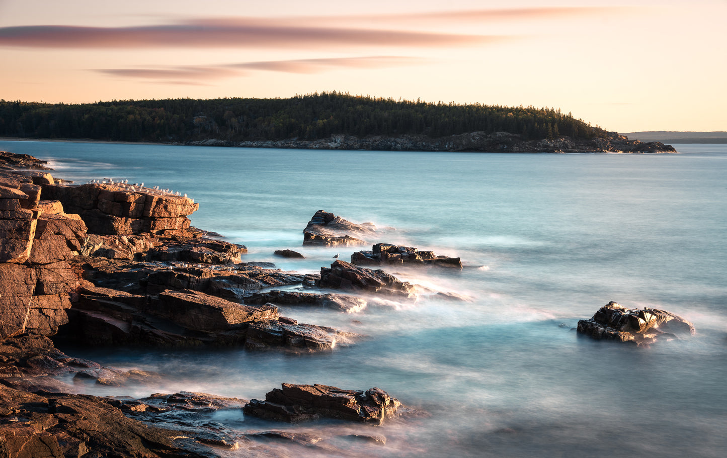 Sunrise Along the Coast of Acadia National Park at Thunderhole