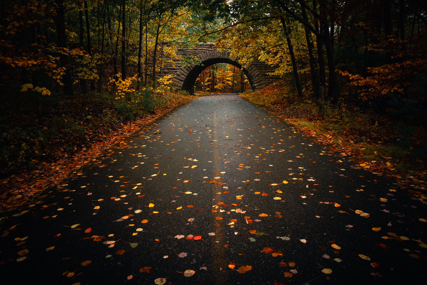 Carriage Roads of Acadia in Fall