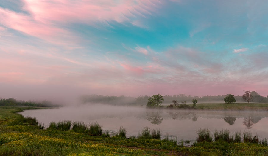 Foggy Morning on Bell Lake