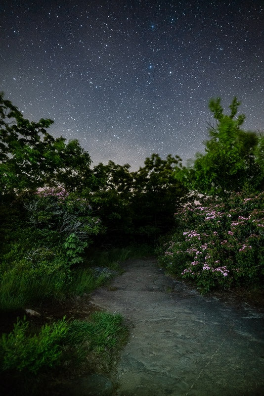 A Starry Night on the Appalachian Trail