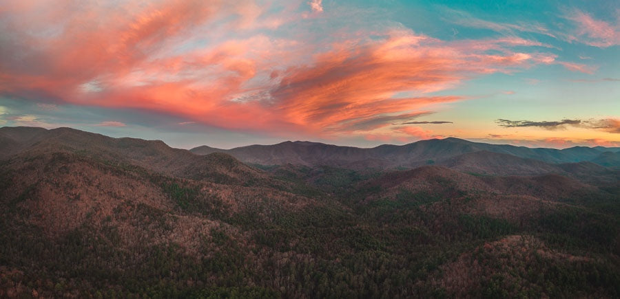 Nothing But Wilderness