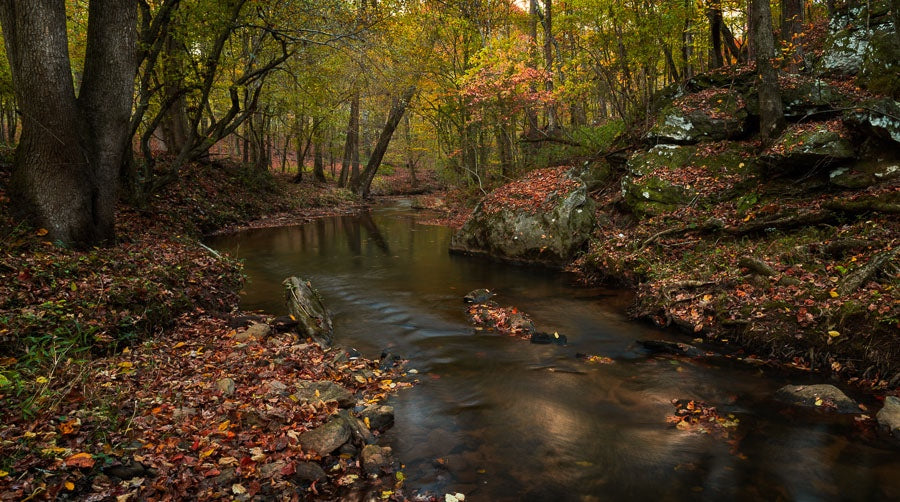 Thomas Farm in Fall