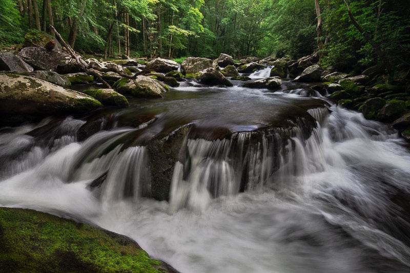 Tremont in the Smokies