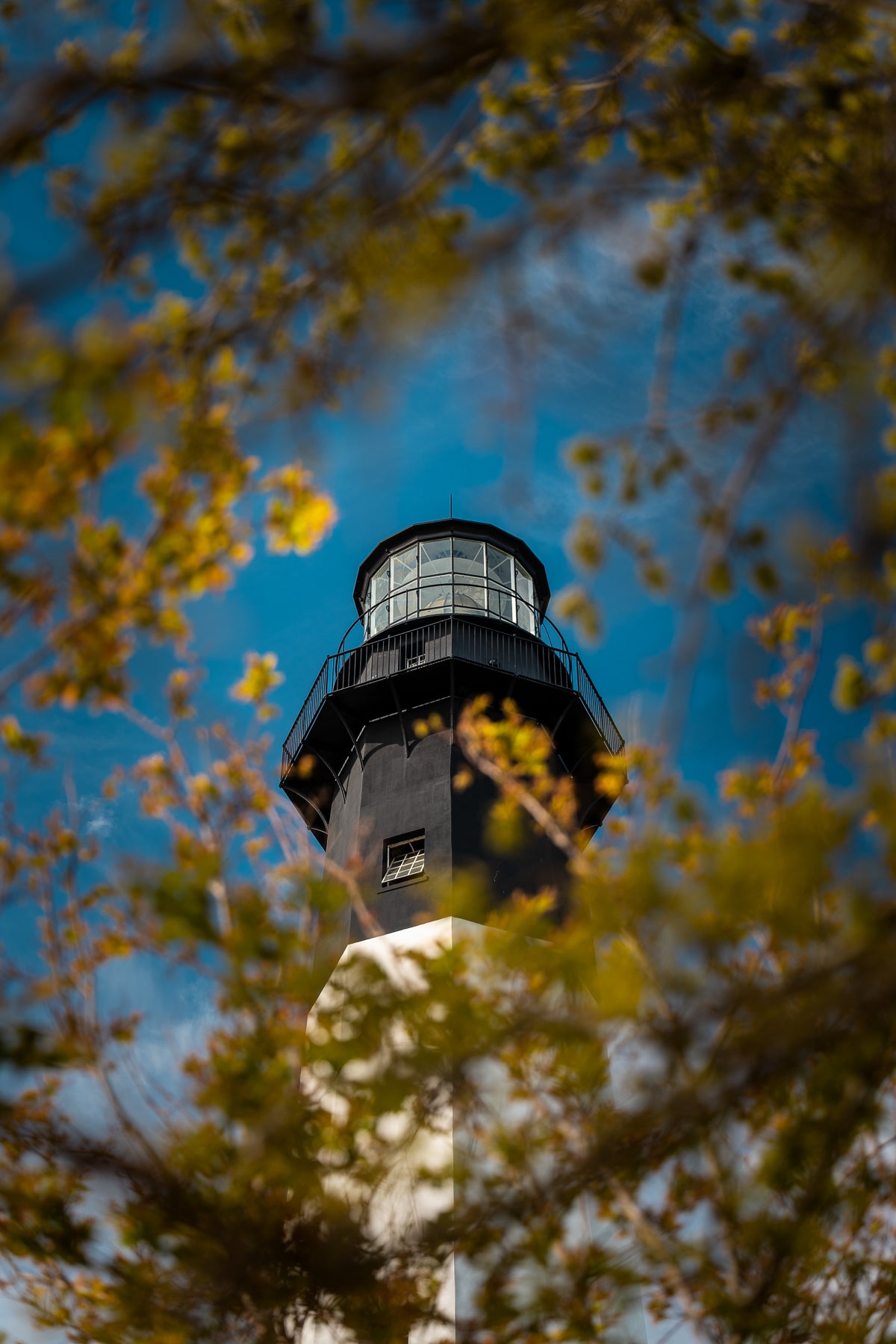 Tybee Island Lighthouse in Springtime