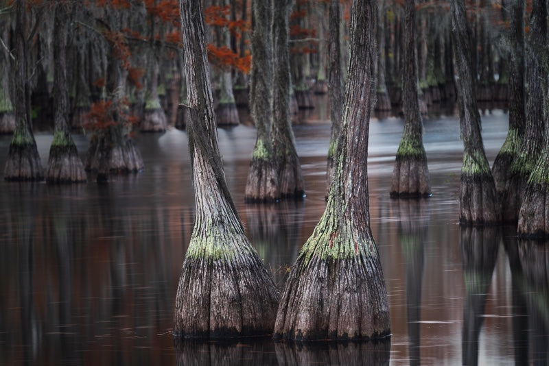 Symmetry