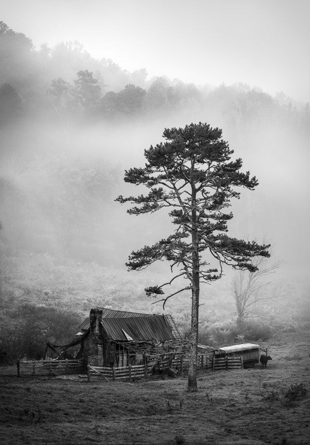 Old Homestead in Early Fall