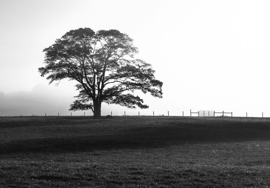 Stately