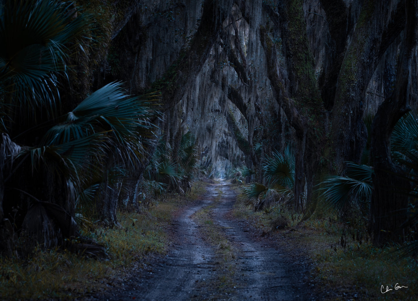 Blue Hour on Ossabaw Island