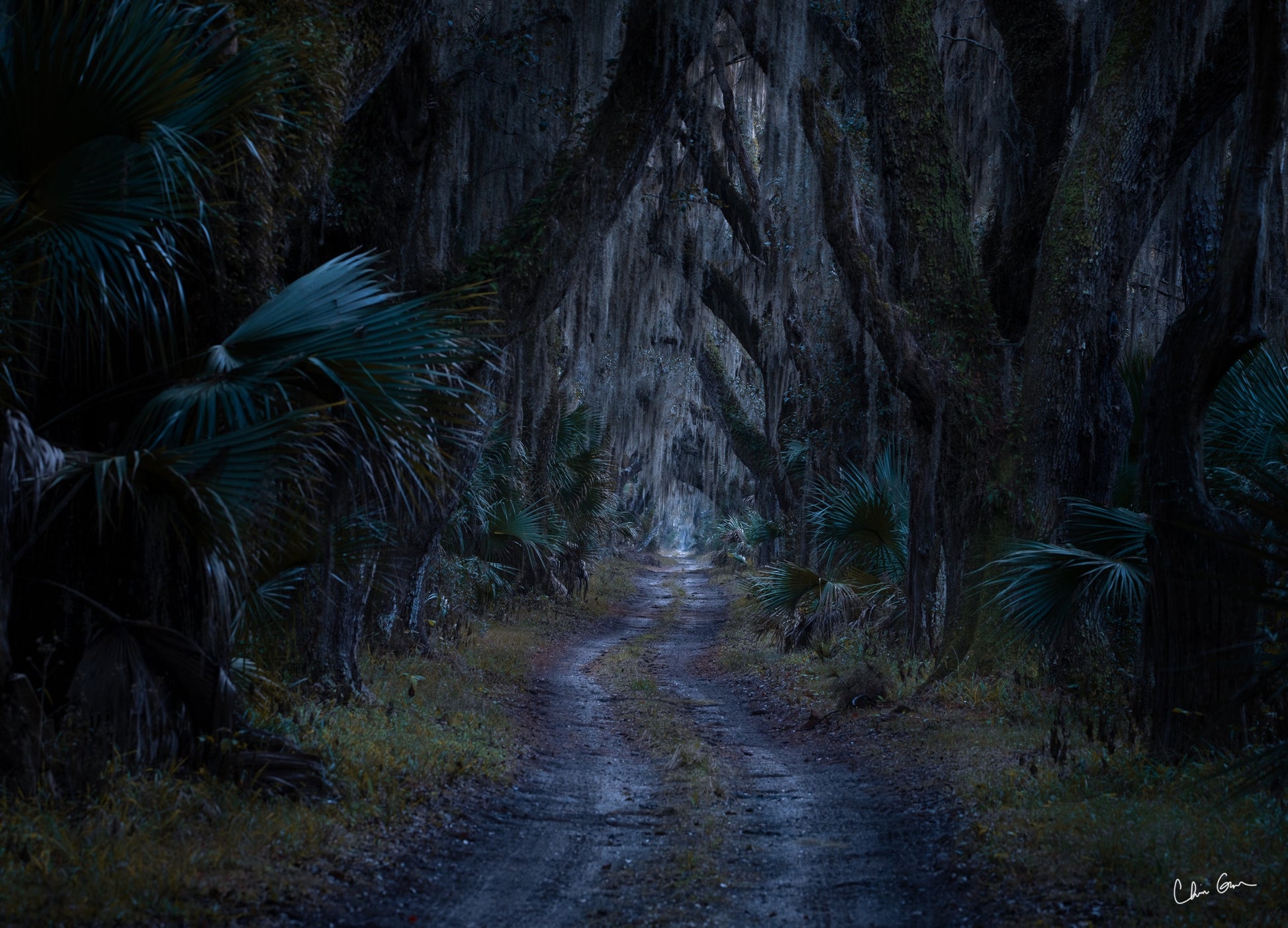 Blue Hour on Ossabaw Island