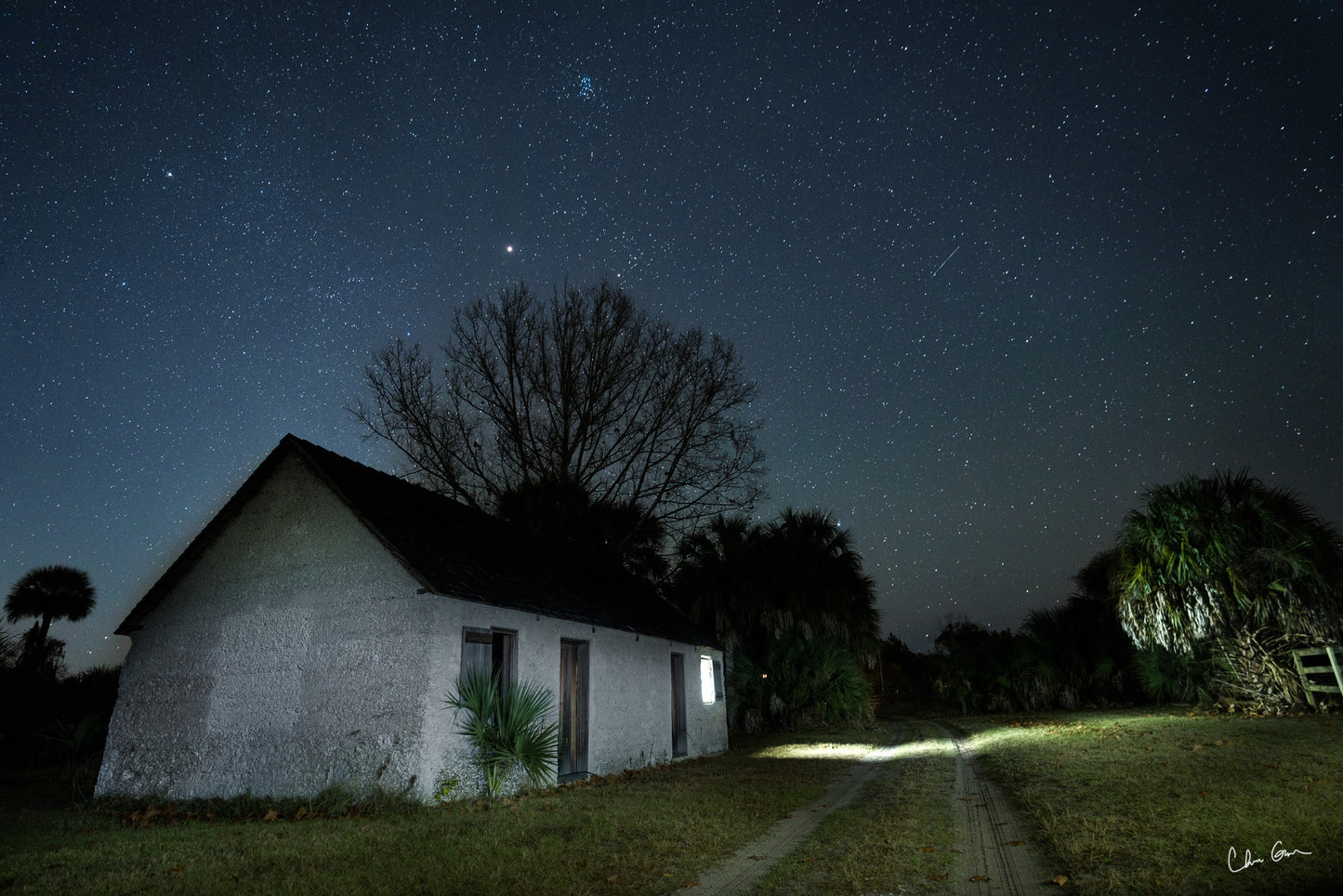 A Starry Night on Ossabaw Island