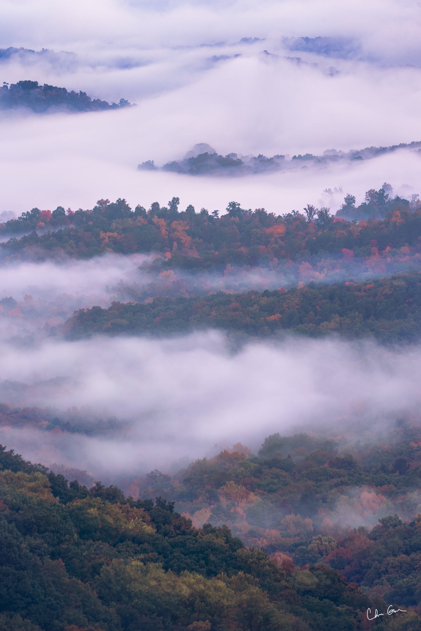 Sea of Fog at Cloudland