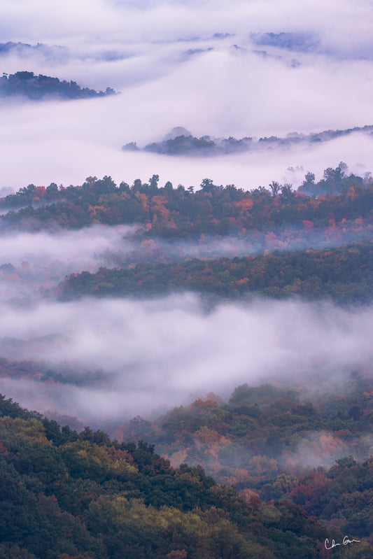 Sea of Fog at Cloudland