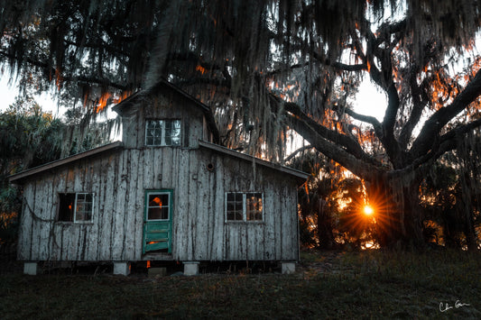 Middle Place on Ossabaw Island