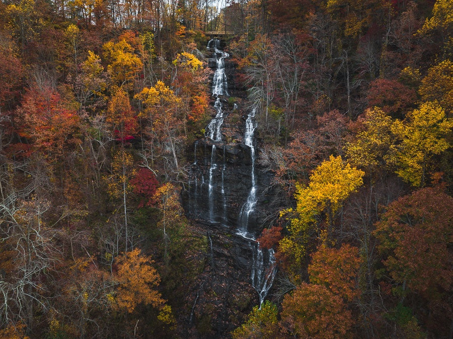 Amicalola Falls in Autumn