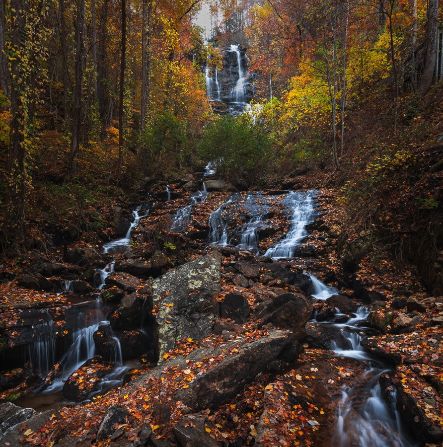 Lower Amicalola Falls in Autumn