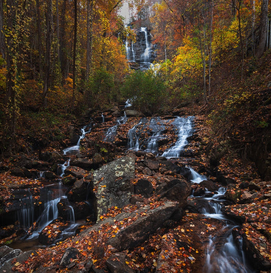 Lower Amicalola Falls in Autumn