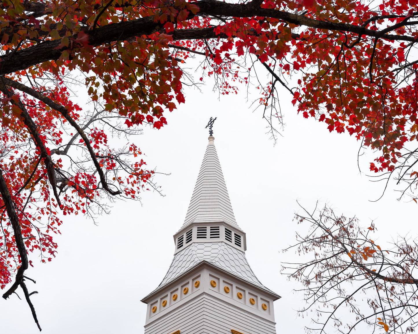 Red Leaves and Church Steeple
