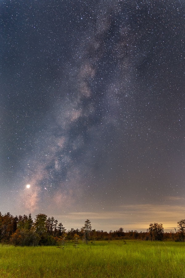 MIlky Way Over the Okefenokee