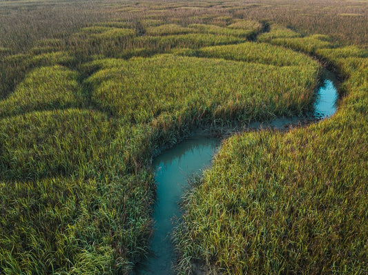 Winding Creek
