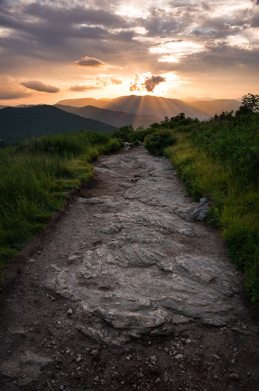 Heaven's Gate