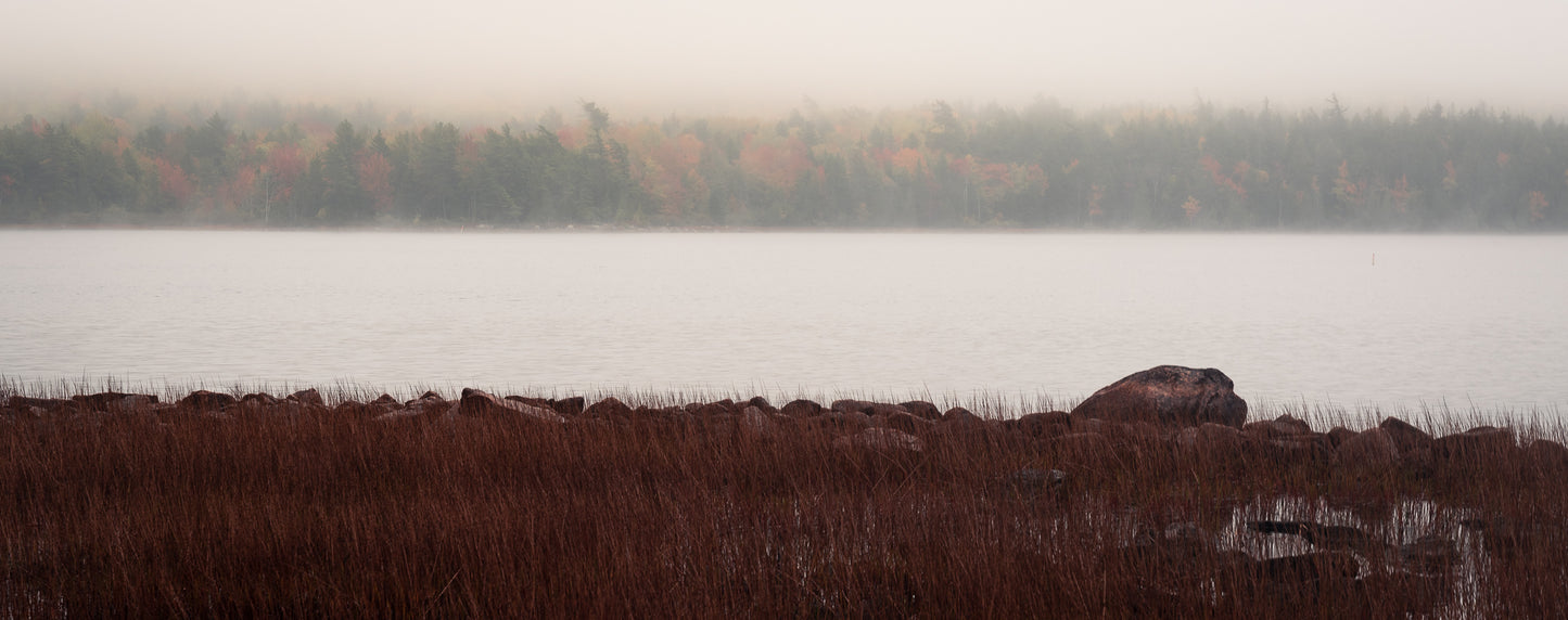 Foggy Day in Acadia National Park