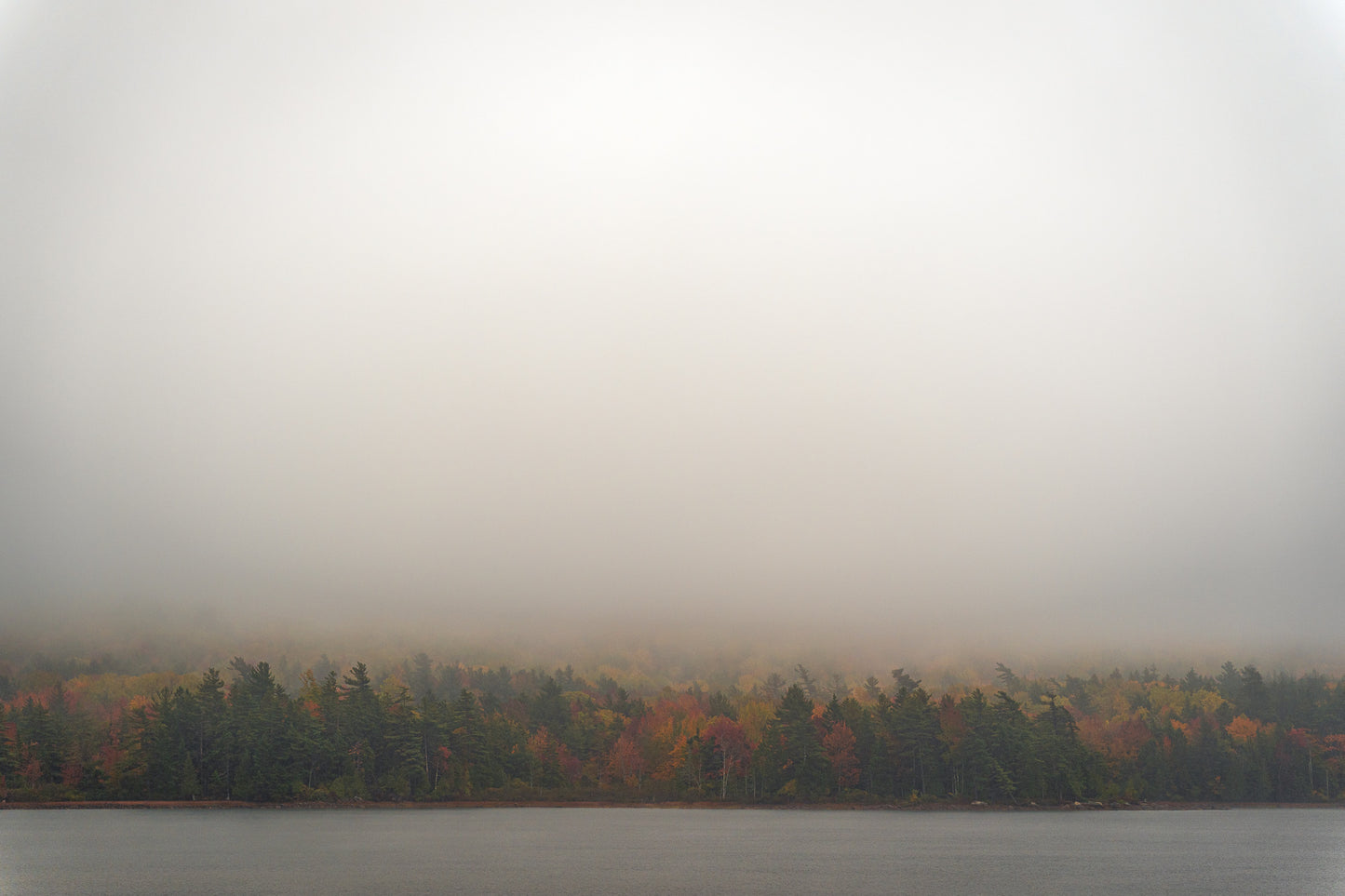 Acadia Colors in the Fog