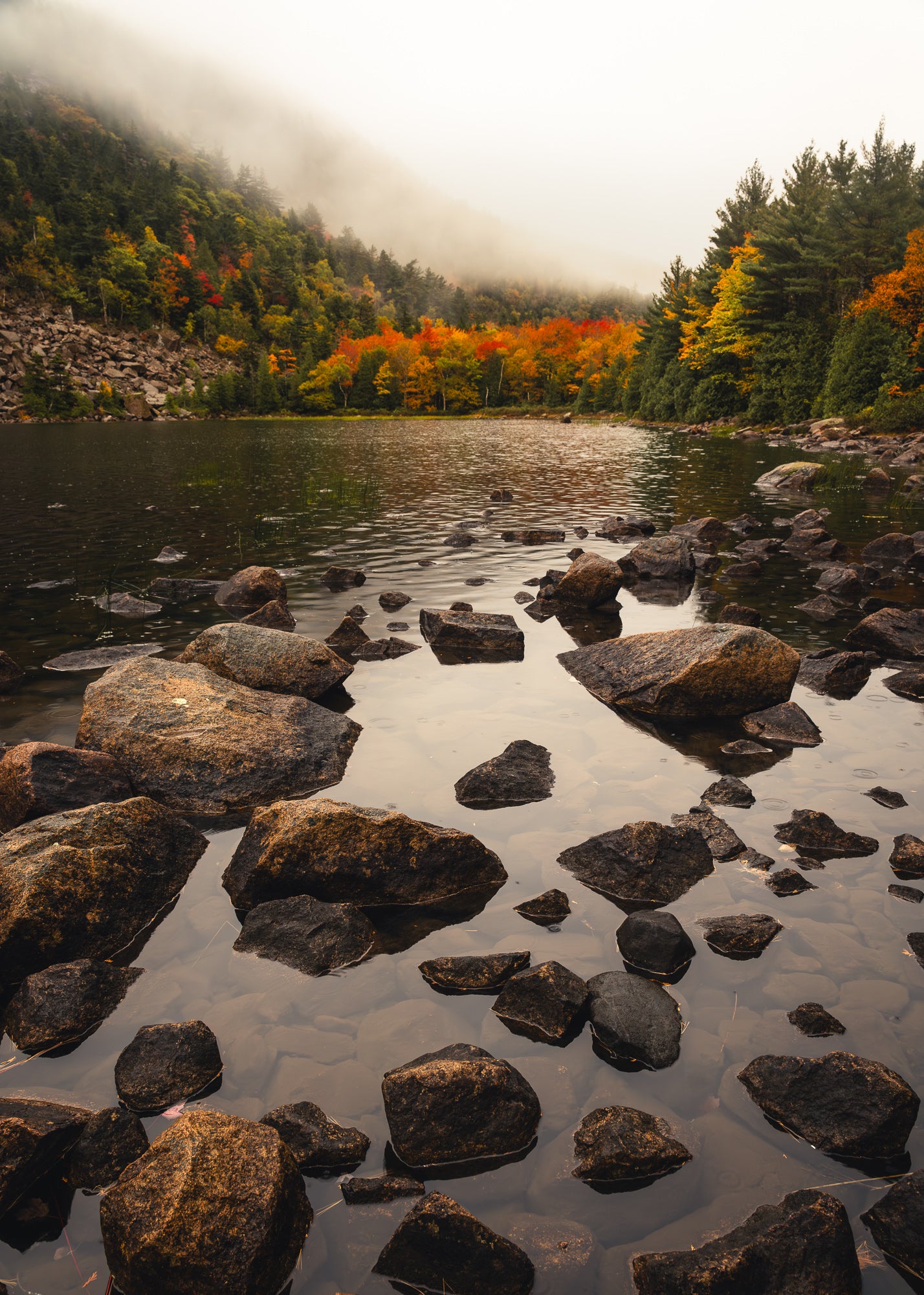 Pond in Acadia National Park