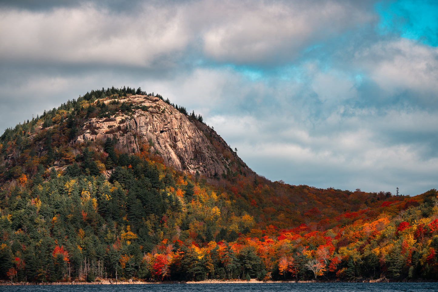 Acadia in Autumn