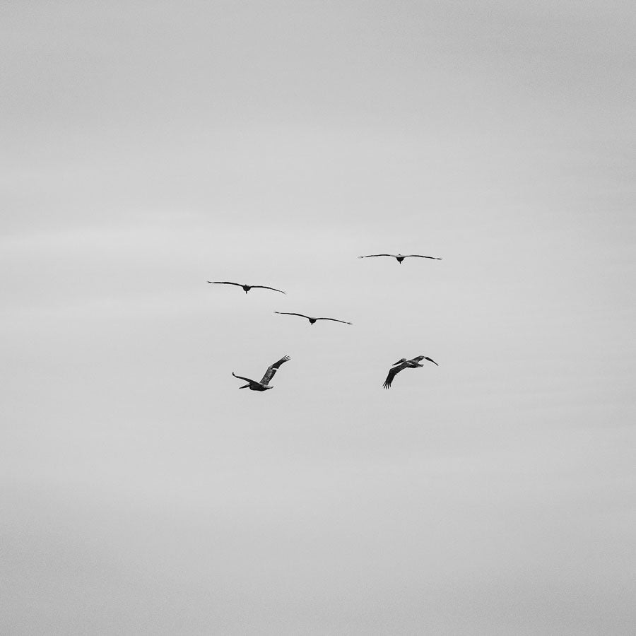 Formation