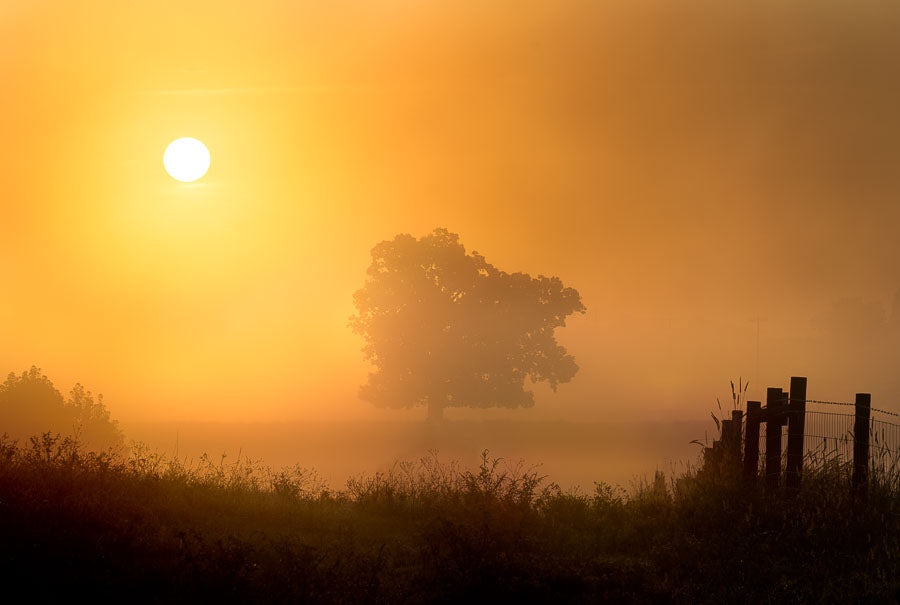Foggy Sunrise