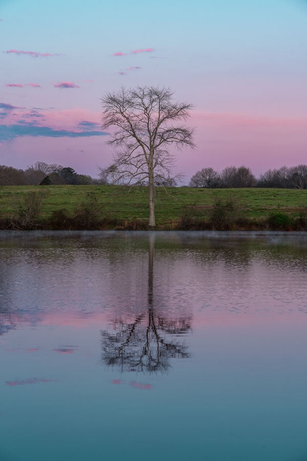 Bell Lake Sunrise
