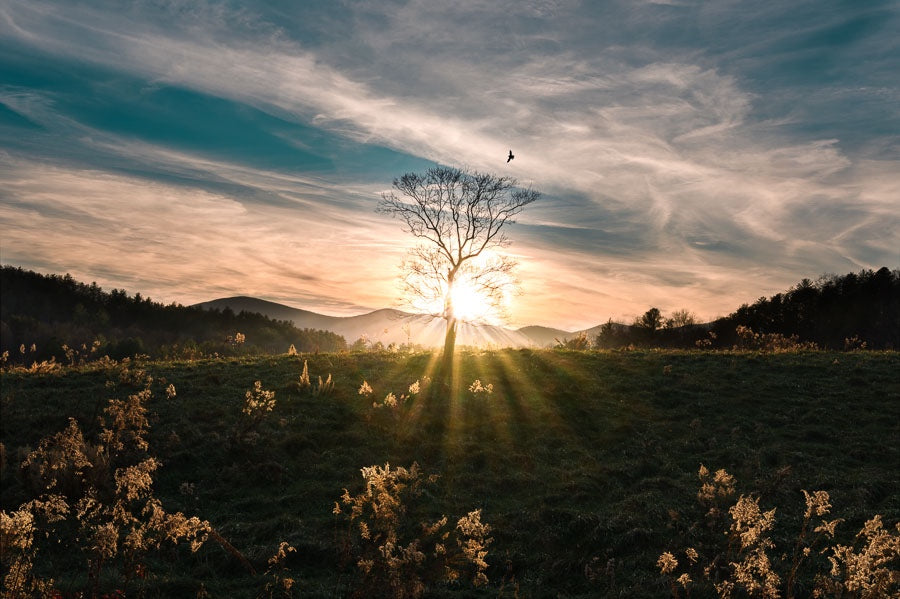 Brilliant Light in the Georgia Mountains