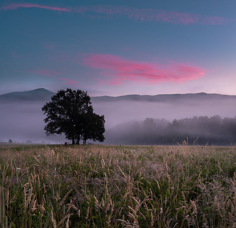 Cades Cove Sunrise