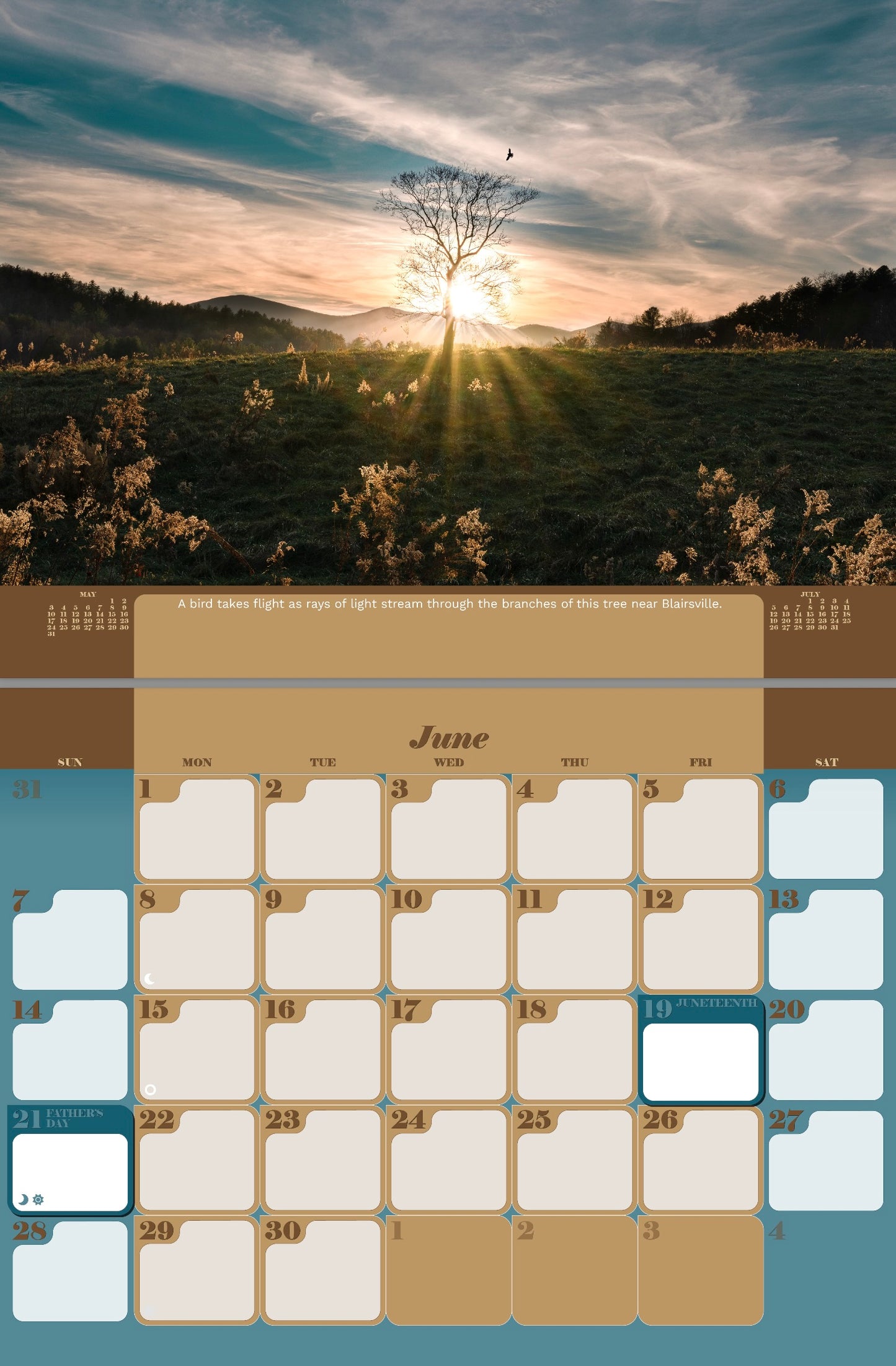 2026 Georgia Wall Calendar - Give the Gift of Beauty