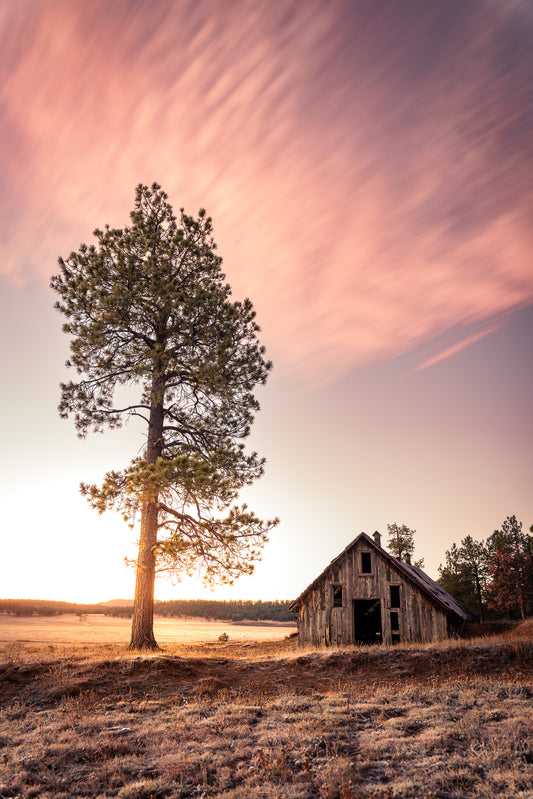 Sunrise at Old Cabin in Vermejo