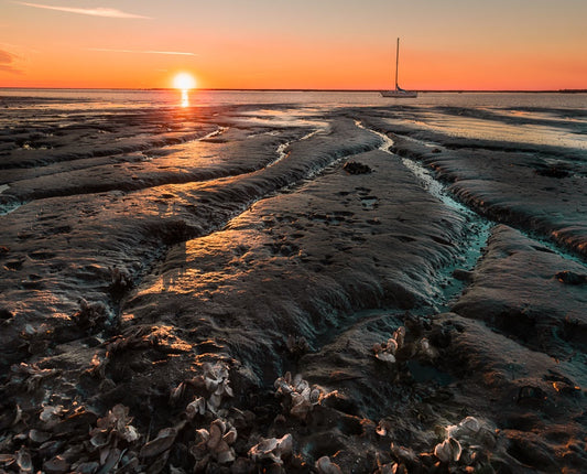 Waiting for the Tide