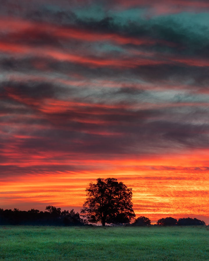 Daniel's Bridge Sunrise