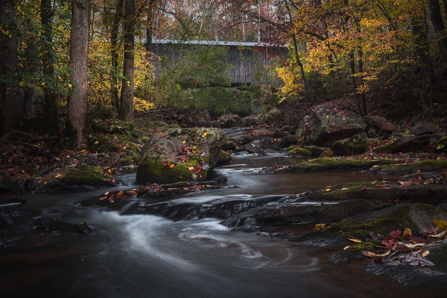 Elder Mill on a Fall Morning