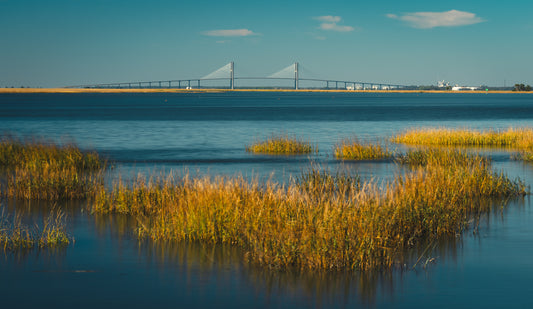 Jekyll Island Marsh