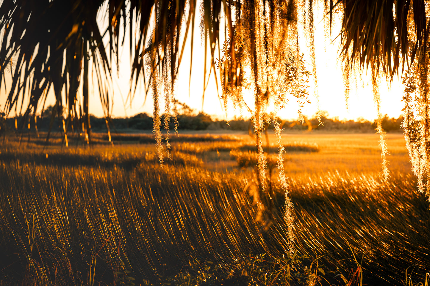 Jekyll Island Sunset Over Marsh