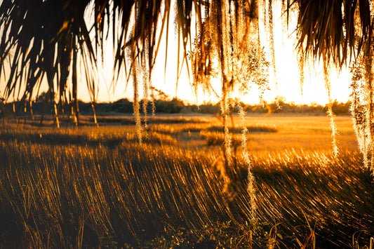 Jekyll Island Sunset Over Marsh