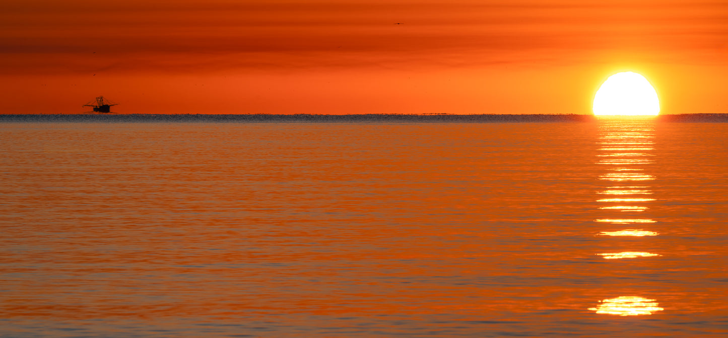 Golden Isles Georgia Sunrise