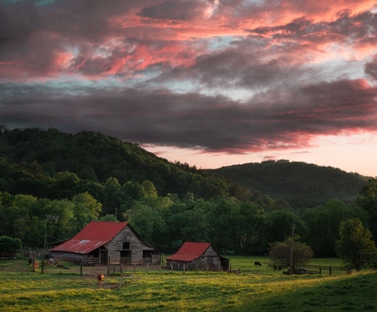 Two Red Barns