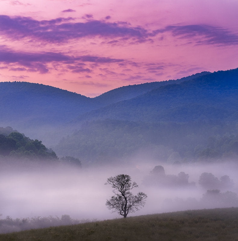 Under a Foggy Sunrise