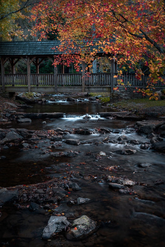 Vogel State Park in Fall